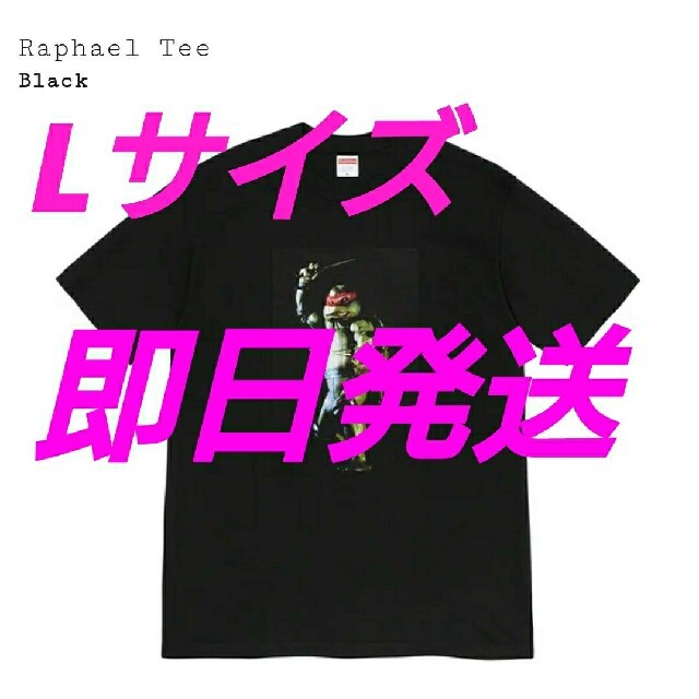 新品未使用付属品Supreme Raphael Tee L