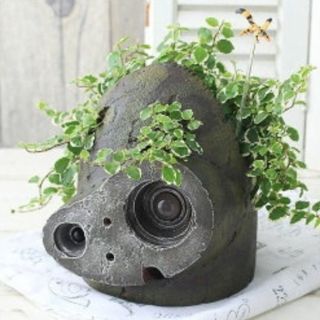 ラピュタ プランターのフリマアイテム一覧 ラピュタ プランターのフリマアイテム一覧