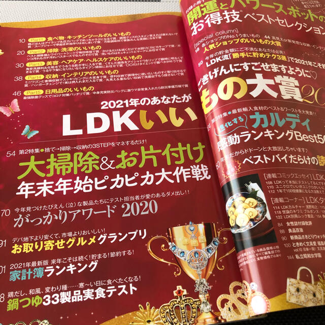 LDK 2021年1月号 エンタメ/ホビーの雑誌(生活/健康)の商品写真