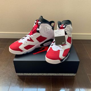 ナイキ(NIKE)のNike Air Jordan6 carmine 28cm(スニーカー)