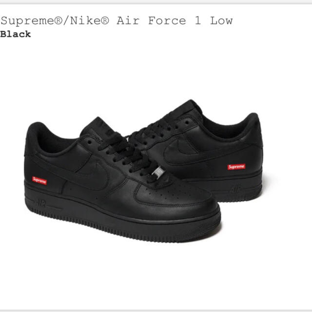 30cm Supreme Nike airforce 1 専用