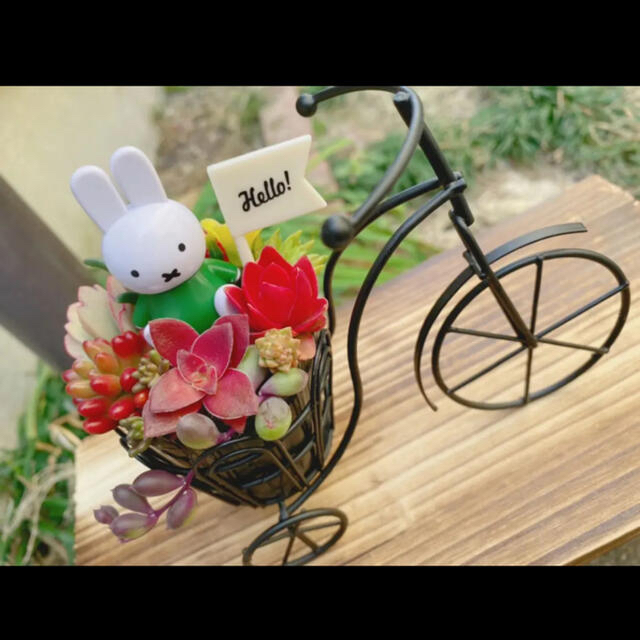 ★★モリモリ❤️可愛い★ミッフィー★自転車★このまま飾れます★多肉植物 1