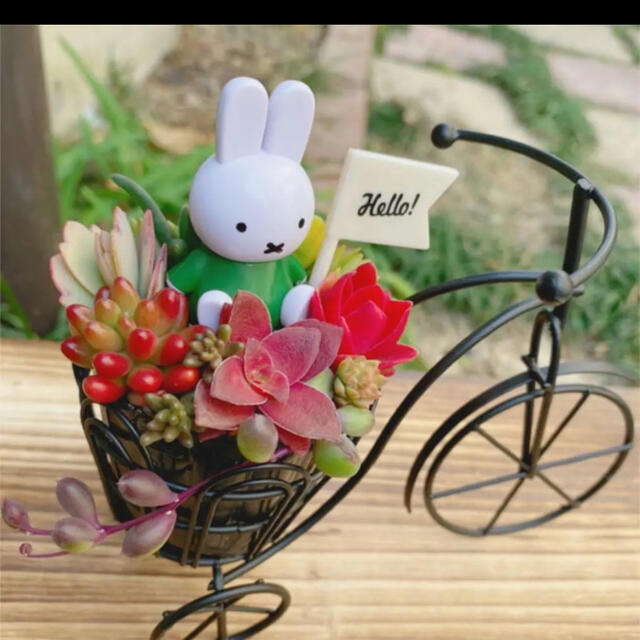 ★★モリモリ❤️可愛い★ミッフィー★自転車★このまま飾れます★多肉植物