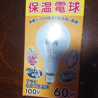 ペット用、保温電球60w(小動物)