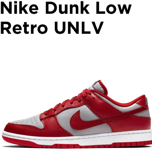 スニーカーNIKE DUNK LOW RETRO ナイキ ダンク ロー レトロ ネバダ