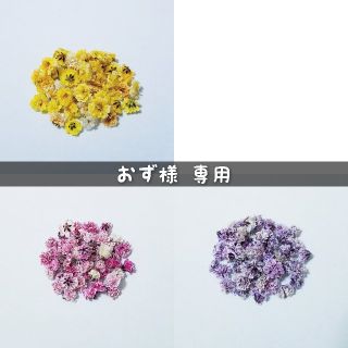 【おず様専用】かすみ草のドライフラワー(ドライフラワー)