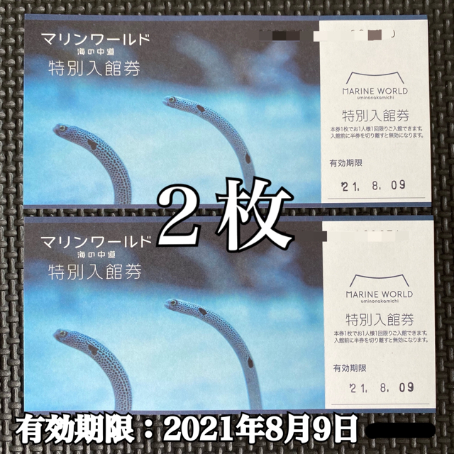 マリンワールド海の中道　施設利用券　２枚 チケットの施設利用券(水族館)の商品写真