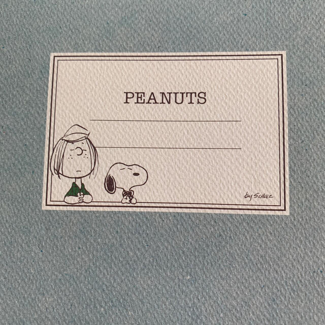 PEANUTS(ピーナッツ)のスヌーピー   A5ノート3冊 インテリア/住まい/日用品の文房具(ノート/メモ帳/ふせん)の商品写真