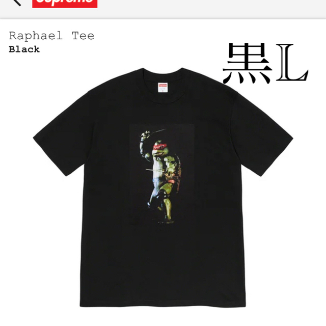 Supreme Rafael Tee