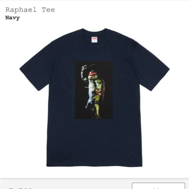 Tシャツ/カットソー(半袖/袖なし)Supreme Raphael Tee Lサイズ