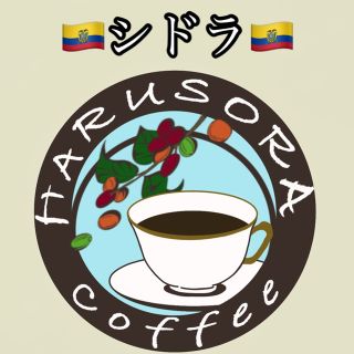 🇪🇨シドラ🇪🇨200g 自家焙煎珈琲　エクアドル(コーヒー)