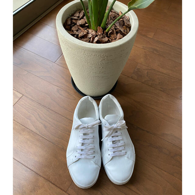 靴/シューズJIL SANDER leather sneaker