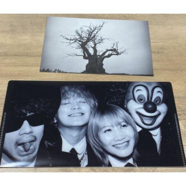 SEKAI NO OWARI 2010-2019 完全生産限定プレミアム 特典付