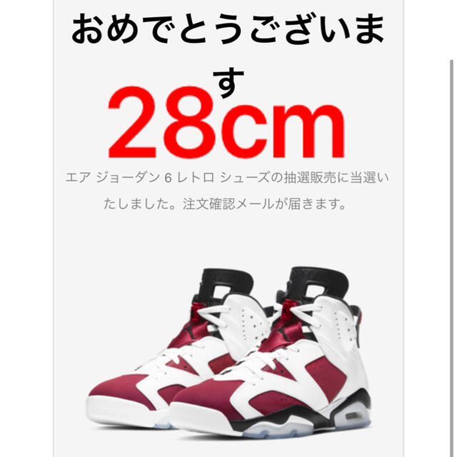 SNKRS当選NIKE エアジョーダン6レトロ　カーマイン