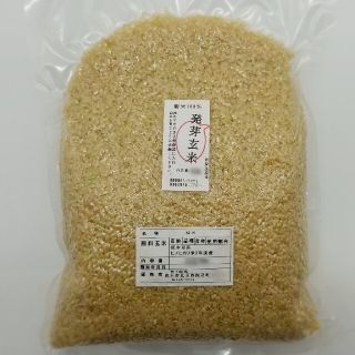 熊本県産　新米100%　発芽玄米　3kg ヒノヒカリ　れんげ米(米/穀物)