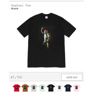 シュプリーム(Supreme)のsupreme T-shirt Tシャツ　2021 新発売(Tシャツ/カットソー(半袖/袖なし))