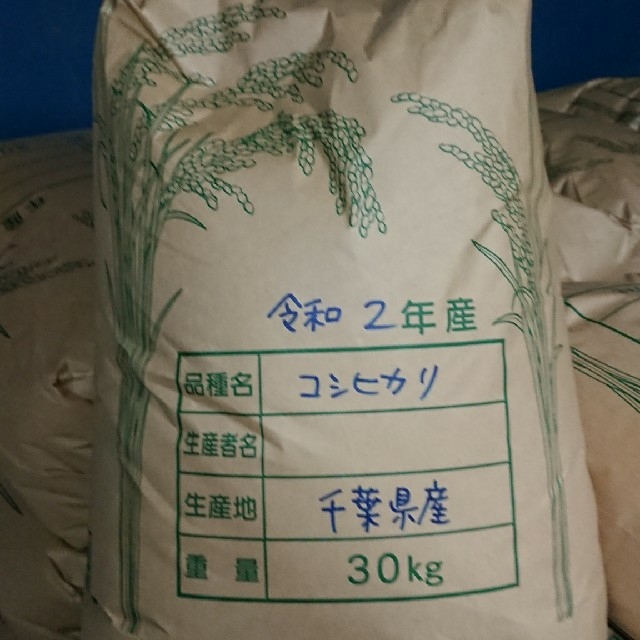 白米　千葉県産　米/穀物　コシヒカリ　30㎏　令和　2年