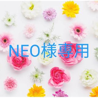 グッチ(Gucci)のNEO様専用です。(ポーチ)