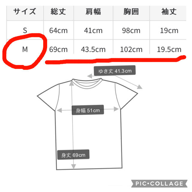 LOVELESS(ラブレス)のガンダム　ハロ柄　黒　ラブレス　コラボ　Tシャツ　メンズ　M 新品 メンズのトップス(Tシャツ/カットソー(半袖/袖なし))の商品写真