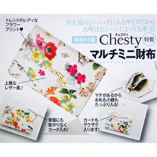 チェスティ(Chesty)の未使用⭐︎美人百花付録 Chesty チェスティ マルチミニ財布(財布)