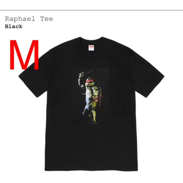 Tシャツ/カットソー(半袖/袖なし)Supreme Rapheal Tee 黒　ブラック　M タートルズ