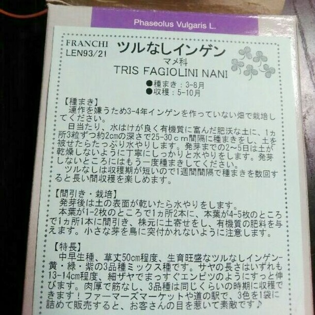 〈早割〉イタリア野菜　カラフルなインゲンの種子　プランターOK　ナスとの相性◎ ハンドメイドのフラワー/ガーデン(その他)の商品写真