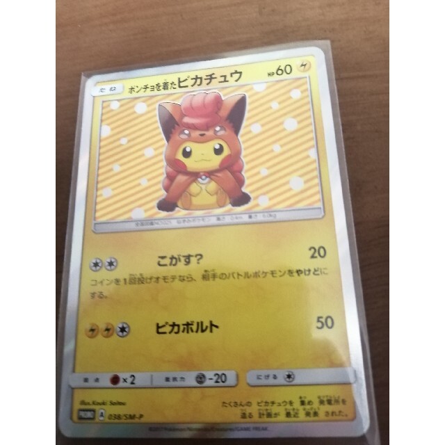 ポケモン - 【frmjpn様専用】2枚セット ポケモンカード ポンチョを着た