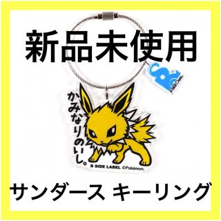 4ページ目 ポケモン ストラップ キャラクターグッズの通販 600点以上 ポケモンのエンタメ ホビーを買うならラクマ