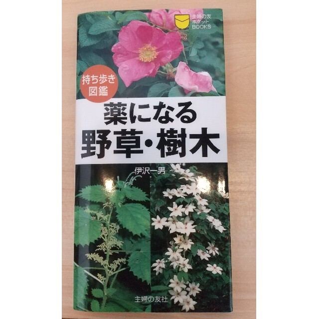 野草、樹木の本 エンタメ/ホビーの本(健康/医学)の商品写真