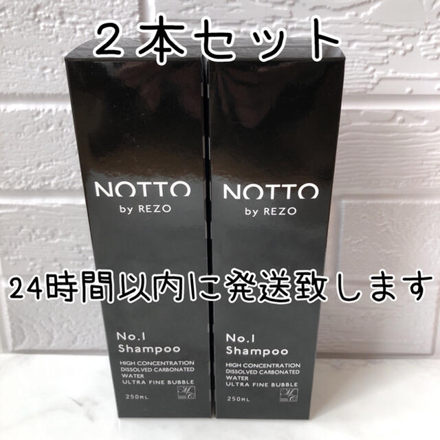 ノットシャンプー   NOTTOシャンプー 250ml ２本セット