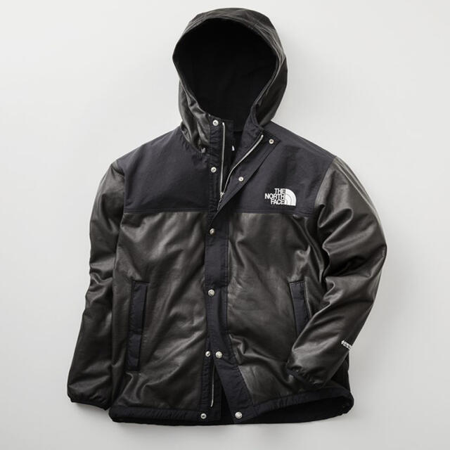 THE NORTH FACE GTX Pamir Jacket