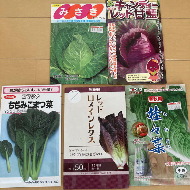 葉物野菜の種子 ハンドメイドのフラワー/ガーデン(その他)の商品写真