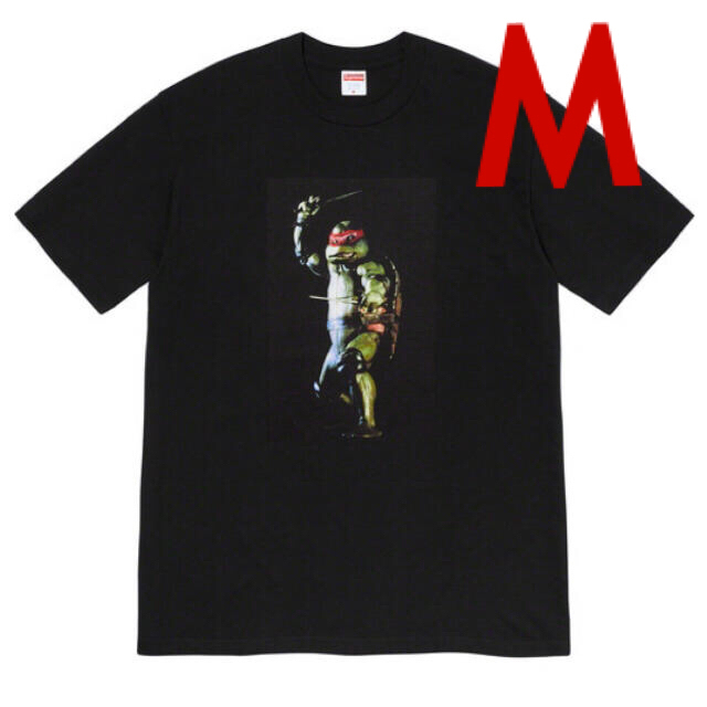 supreme Raphael Tee シュプリーム Mサイズ