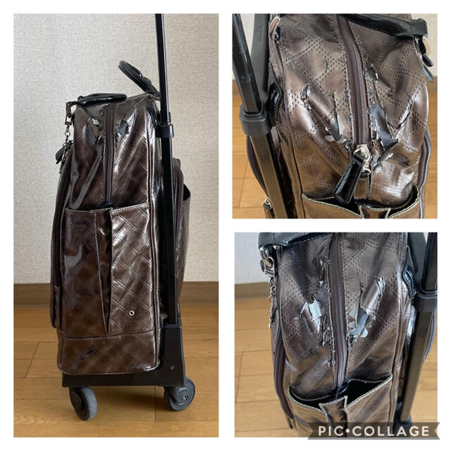 訳あり！SWANY（スワニー）ウォーキングバッグD-113 エマイロ（L21） レディースのバッグ(スーツケース/キャリーバッグ)の商品写真