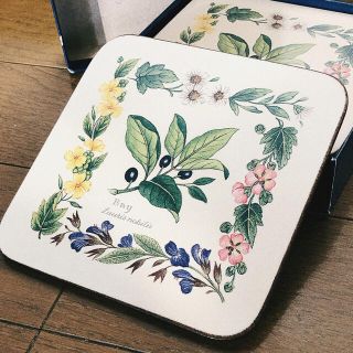 ロイヤルウースター(Royal Worcester)のコースター6枚組(テーブル用品)