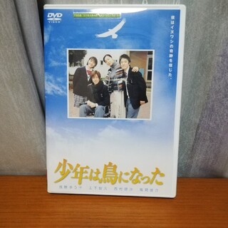 少年は鳥になった DVD(TVドラマ)