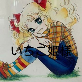 いちご姫様 専用ページ(バッグ)