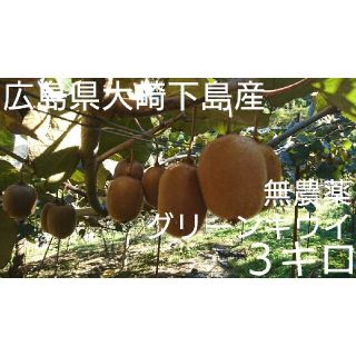 無農薬！広島県大崎下島産 グリーンキウイ小玉３キロ(フルーツ)