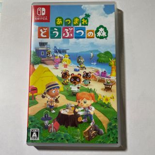 ニンテンドースイッチ(Nintendo Switch)の【☆】様専用商品(家庭用ゲームソフト)