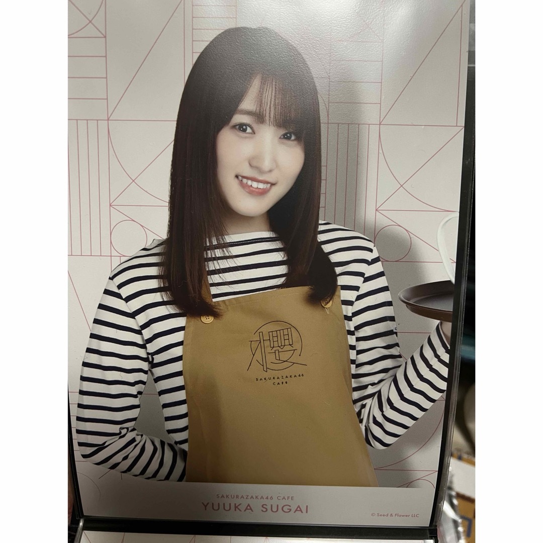 欅坂46 櫻坂46 武元唯衣 缶バッジ お見立て会