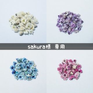 【sakura♡様専用】かすみ草のドライフラワー(ドライフラワー)