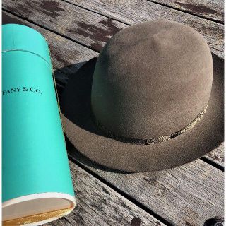 ボルサリーノ(Borsalino)のSTETSON★ステットソン・トラベル・ラグゼ・ミンク59CM (ハット)