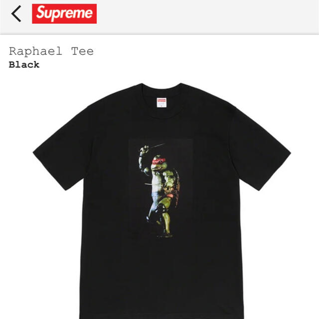 Supreme Raphael Tee S Tシャツ