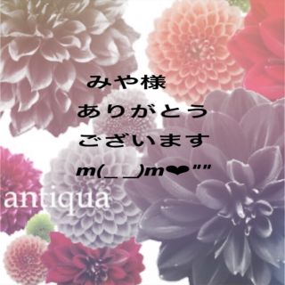 アンティカ(antiqua)のみや様ご専用になります。ありがとうございますm(_ _)m❤︎""(その他)