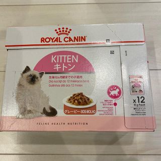 ロイヤルカナン(ROYAL CANIN)のロイヤルカナン　キトン kitten グレービー(ペットフード)