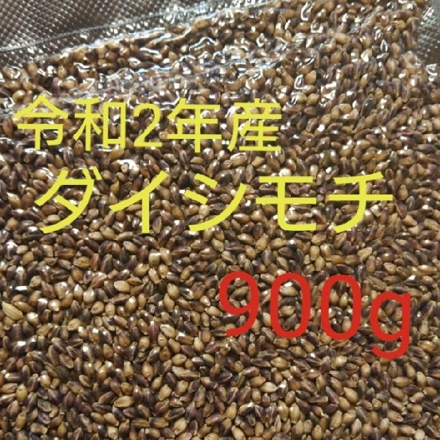 讃岐もち麦 ダイシモチ 玄麦 食品/飲料/酒の食品(米/穀物)の商品写真