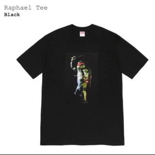 シュプリーム(Supreme)のsupreme タートルズ　黒M 新品(Tシャツ(半袖/袖なし))