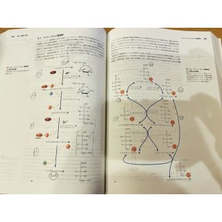 マッキー生化学 分子から解き明かす生命 第6版の通販 by akari's shop マッキー生化学 分子から解き明かす生命 第6版の通販 by akari's shop