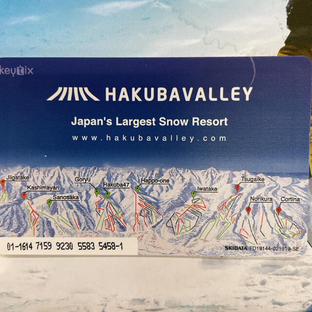 魅力的な価格 栂池高原スキー場　リフト券　食事券付き　3枚セット スキー場