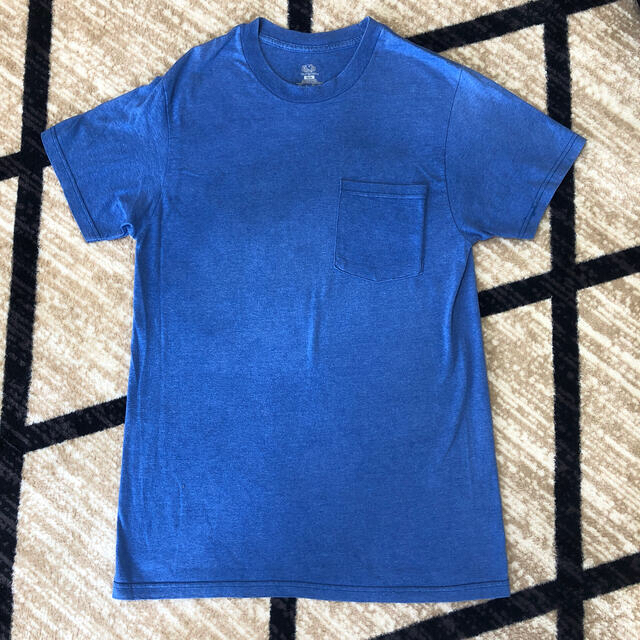 Hanes(ヘインズ)のフルーツオブザルーム　Tシャツ　メンズM メンズのトップス(Tシャツ/カットソー(半袖/袖なし))の商品写真